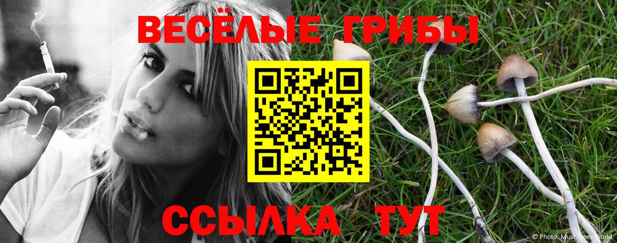 Псилоцибиновые грибы GOLDEN TEACHER  купить наркотик  Дзержинский  Вход с VPN 